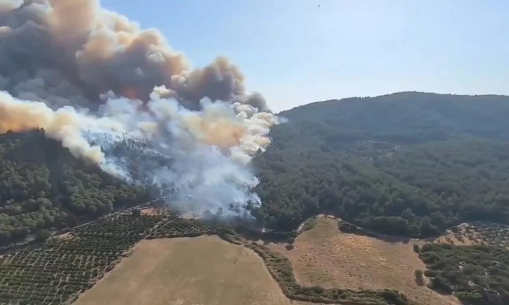 Στο έλεος της πύρινης λαίλαπας η Τουρκία: Μάχη με τις φλόγες σε πολλά μέτωπα- Ειδικότερα στο δυτικό τμήμα της χώρας (Βίντεο)